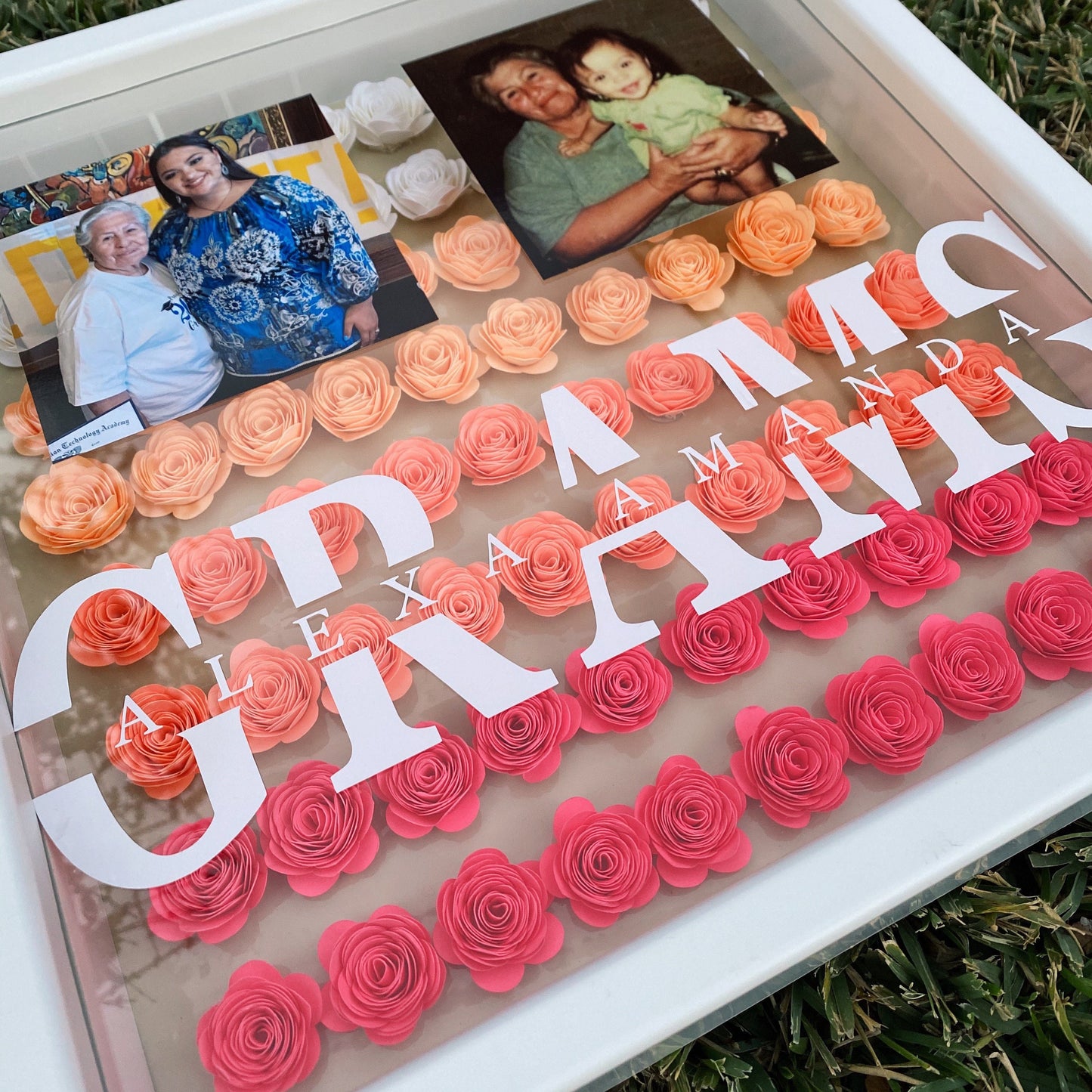 100 Roses Shadowbox